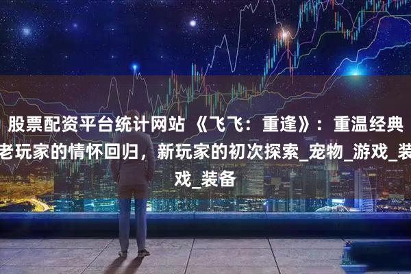股票配资平台统计网站 《飞飞：重逢》：重温经典，老玩家的情怀回归，新玩家的初次探索_宠物_游戏_装备