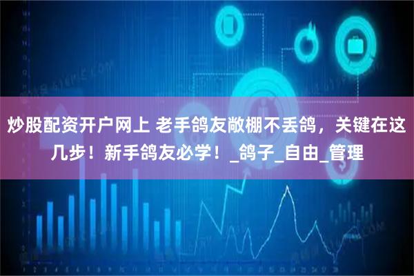 炒股配资开户网上 老手鸽友敞棚不丢鸽，关键在这几步！新手鸽友必学！_鸽子_自由_管理