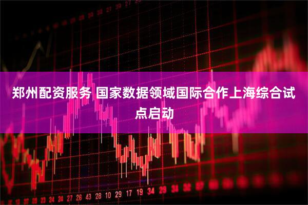 郑州配资服务 国家数据领域国际合作上海综合试点启动