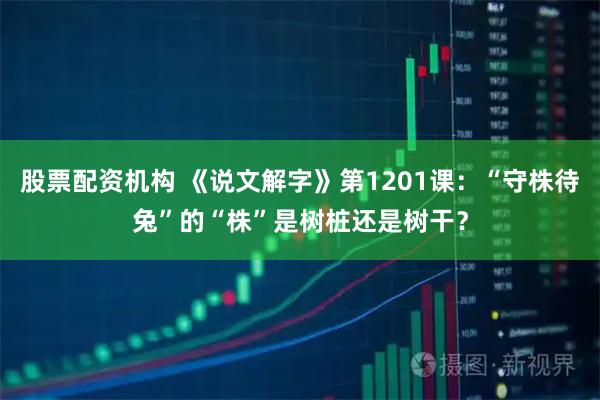股票配资机构 《说文解字》第1201课：“守株待兔”的“株”是树桩还是树干？